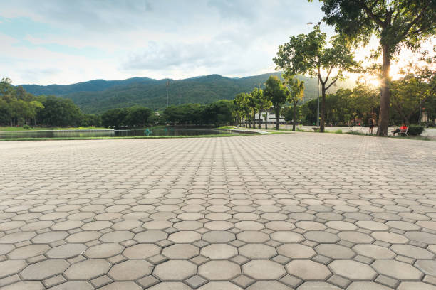 Professional Driveway Pavers in Roxborough Park, CO